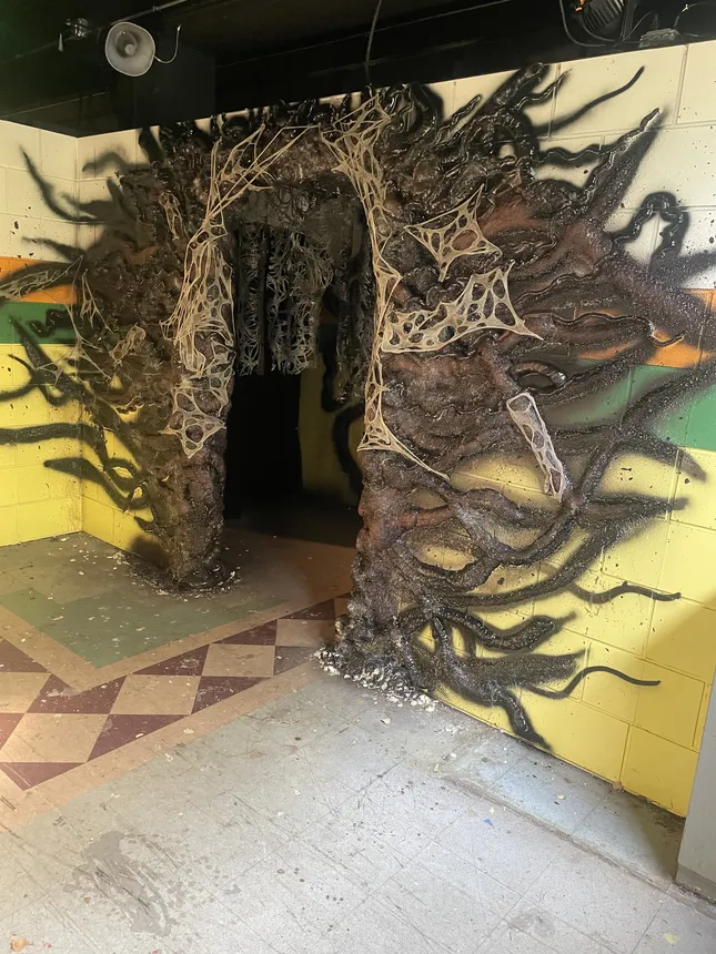 Project image