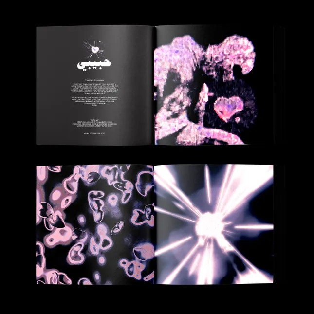 Project image