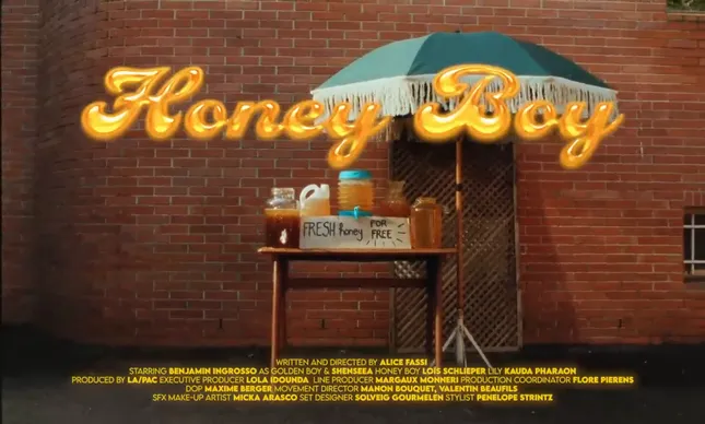 HONEY BOY - Purple Disco Machine