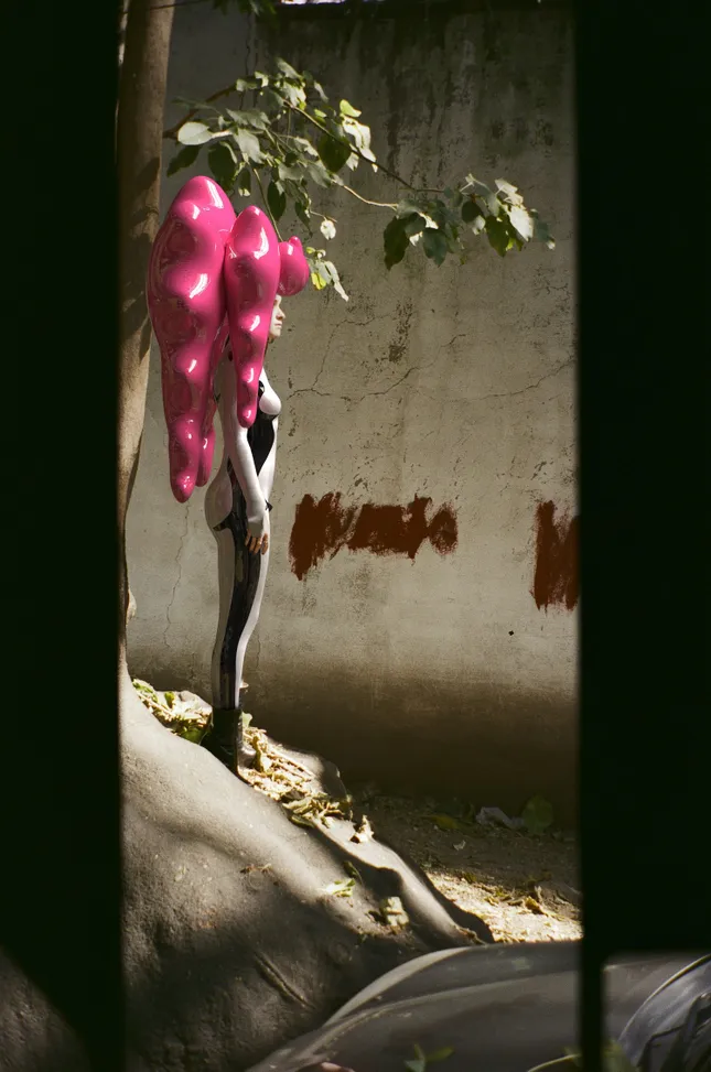 Project image