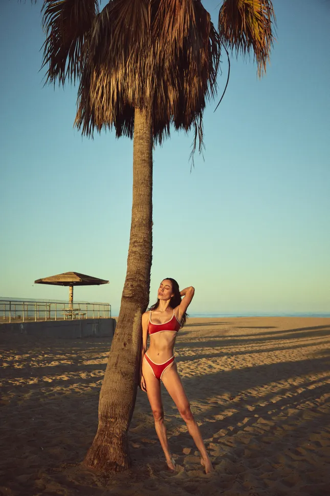 Under the palm