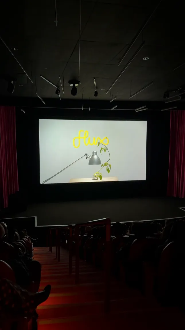 Flux Festival November Event