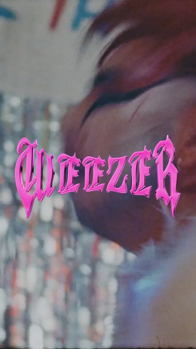 WEEZER ~ Danny Seth