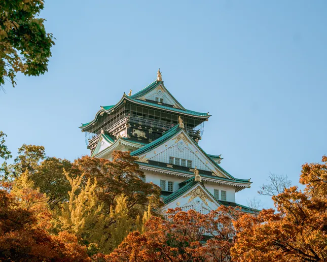 Trip to Japan