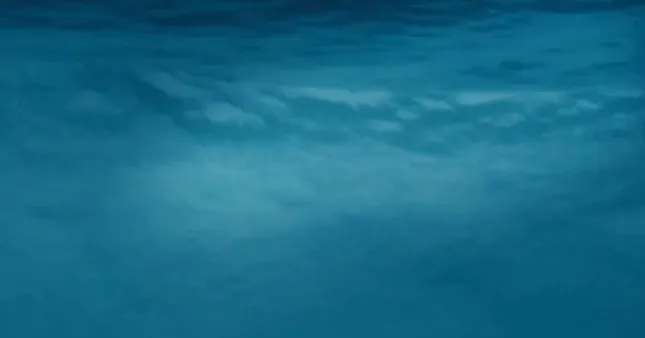 Of the Sea (2019)