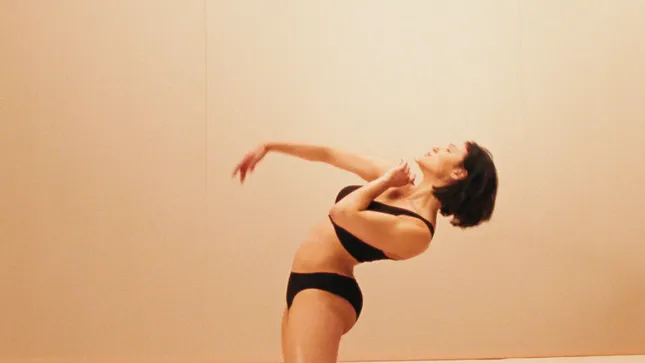 Chantelle Lingerie