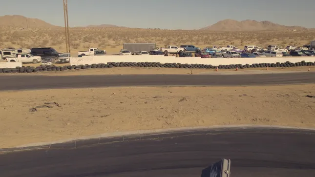 SUPER D X ANIMAL STYLE X CRASH STYLE