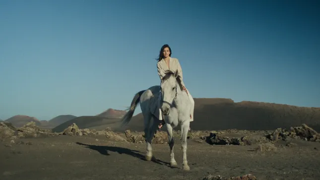 Beaumont - Lanzarote - Horse