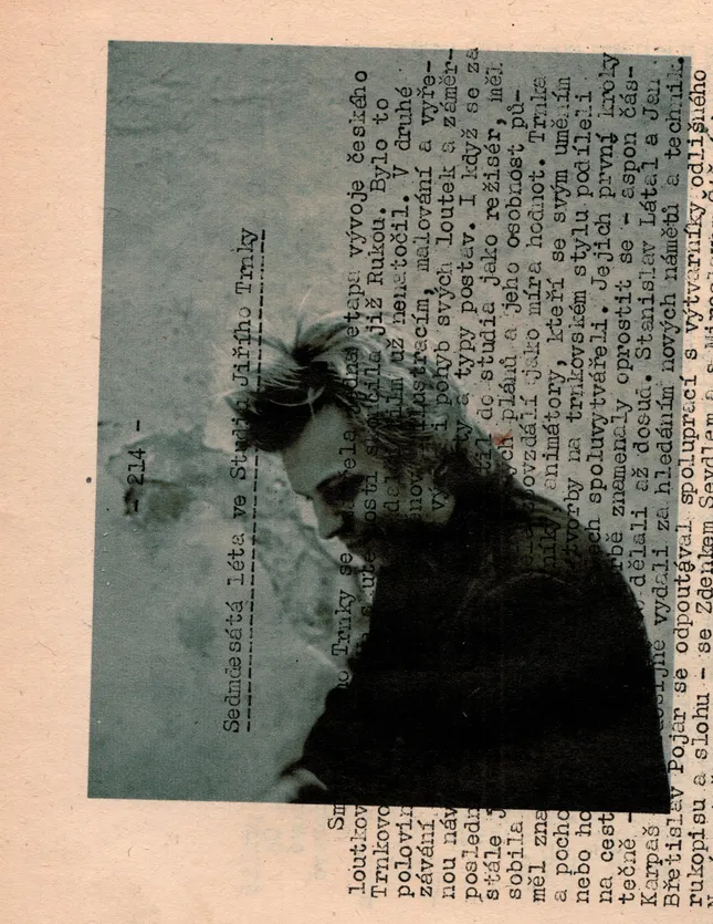 Project image