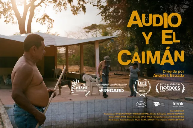 Audio y el Caimán