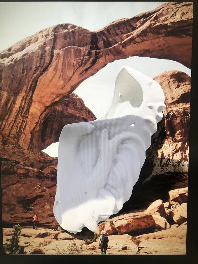Project image