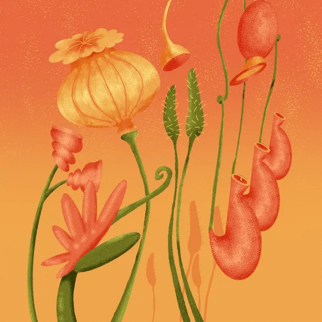 Wildfowers