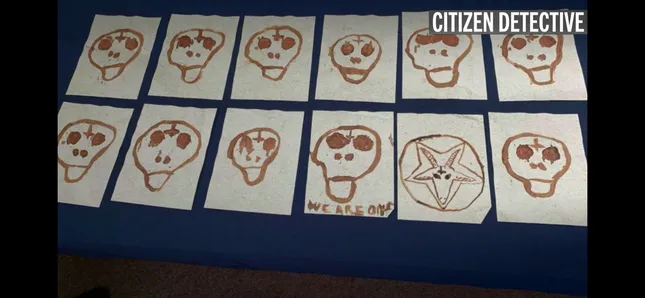 True Crime Story: Citizen Detective
