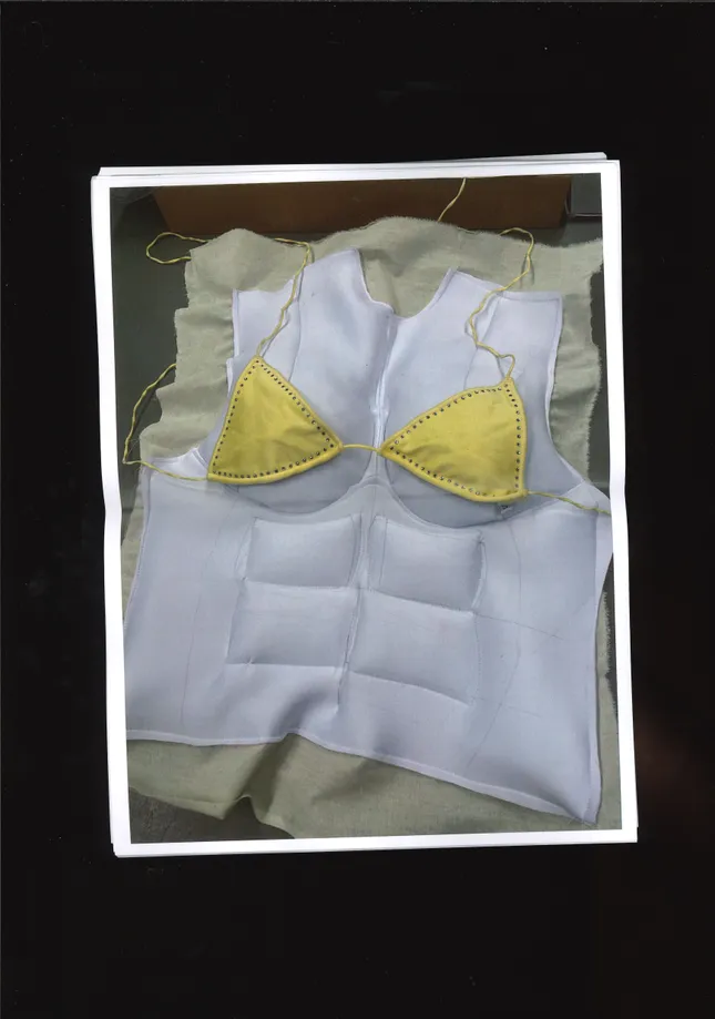 Project image