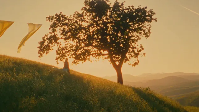 Carly Rae Jepsen - Western Wind