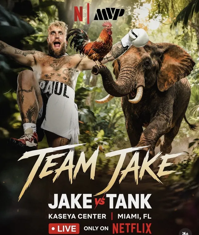 Jake Paul vs Tank. Main promotional gallery.