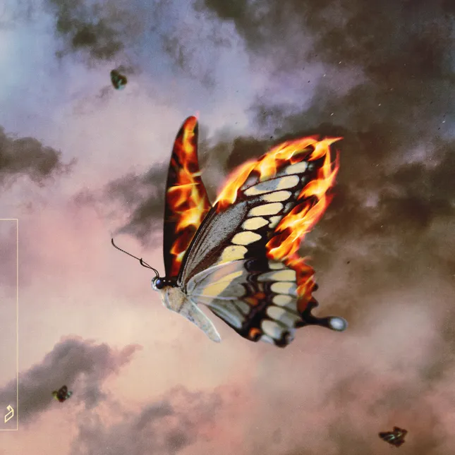 Nils Hoffmann - A Radiant Sign