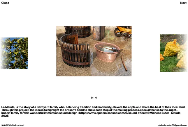 Michelle Suter Portfolio