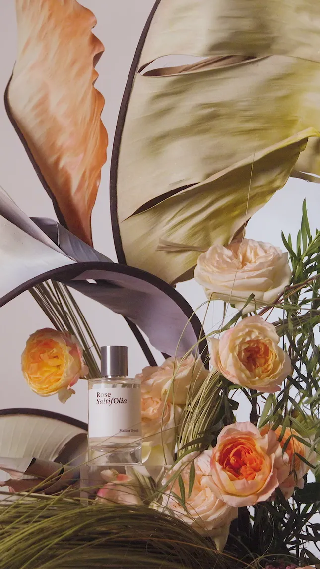 Maison Crivelli x WifeNYC Social Campaign