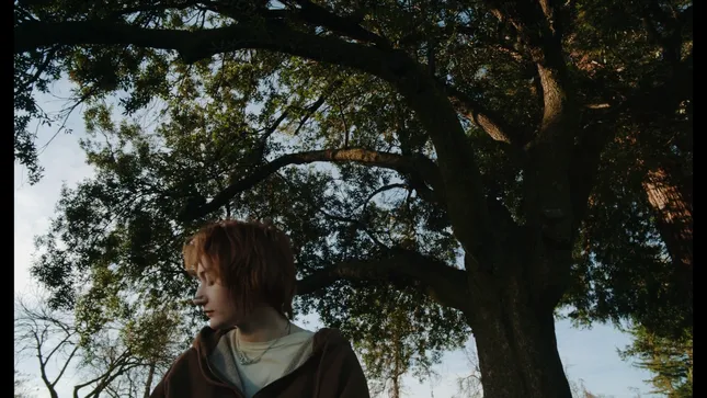 Ode to Trees