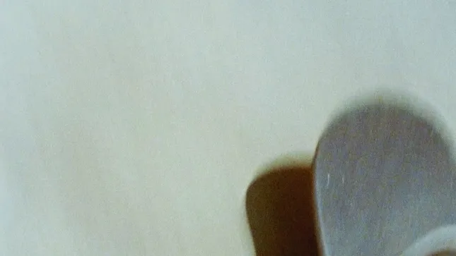 Loveless Films Reel