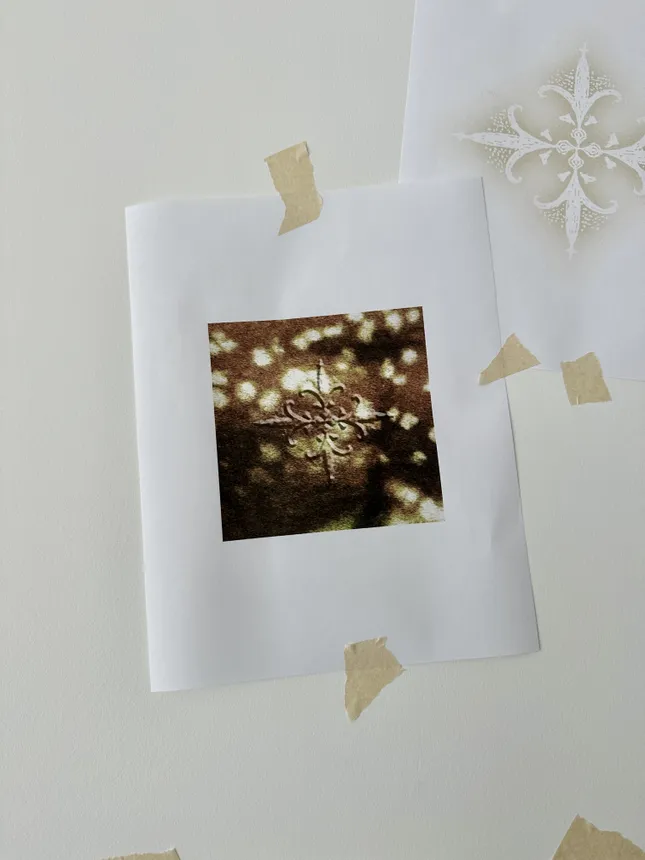 Project image