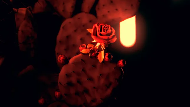 Tour Visual
