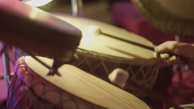 Greg Ellis (live performance)