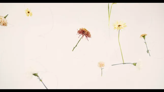 Minimalism
