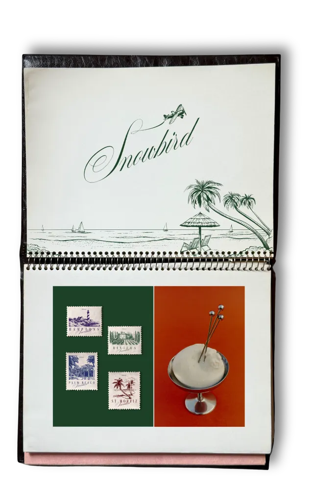 snowbird rebrand