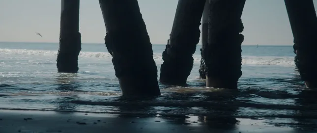 Under the Pier