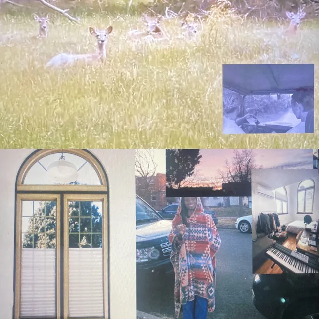 Project image