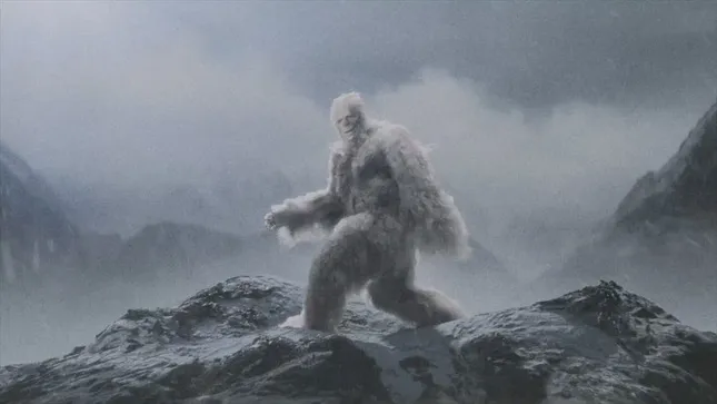 YETI SOUP
