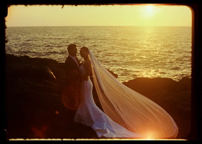 16 Petals Films reel