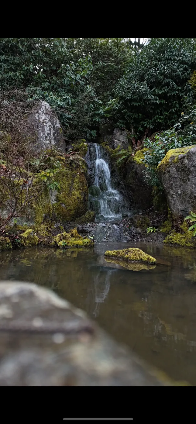 Seattles Japanese garden