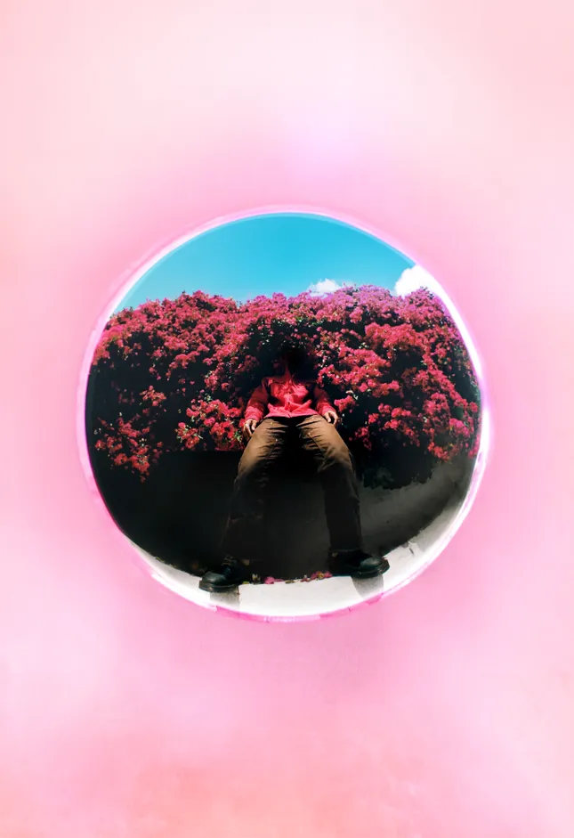 Project image