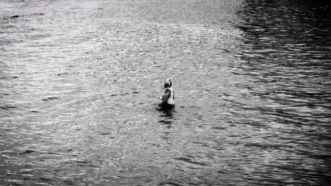 ESCAPE FROM REALITY.