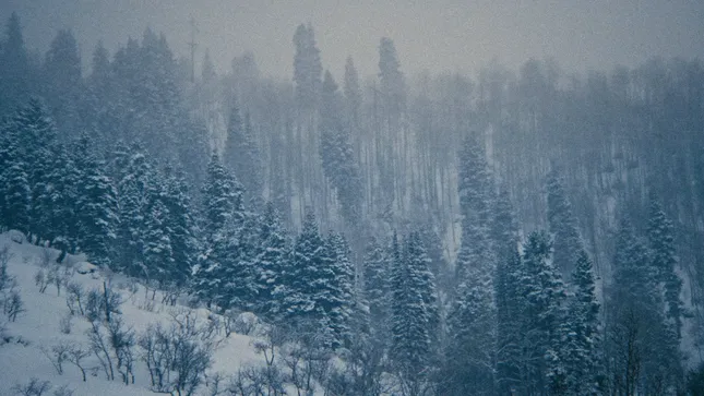 Free People | Movement x US Ski Team