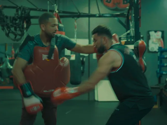 The Art of Boxing.