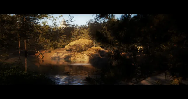 Project image
