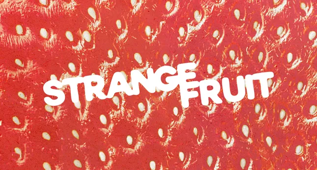 Type/Identity Exploration
