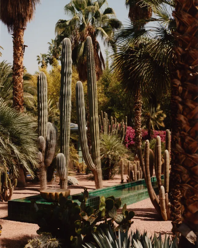 Postcards from Morocco