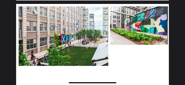 Project image