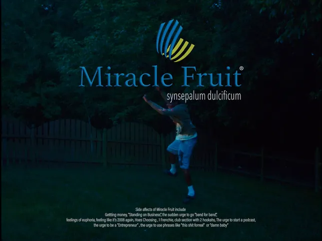 Miracle Fruit.
