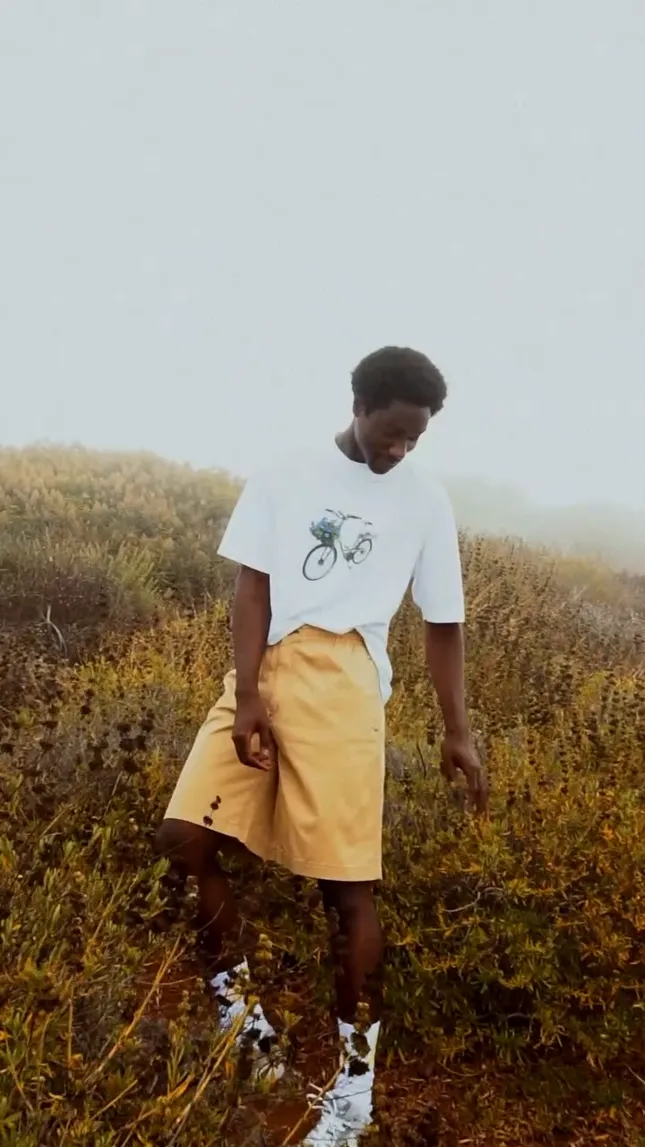Aplasticplant BTS/Editorial Style Content