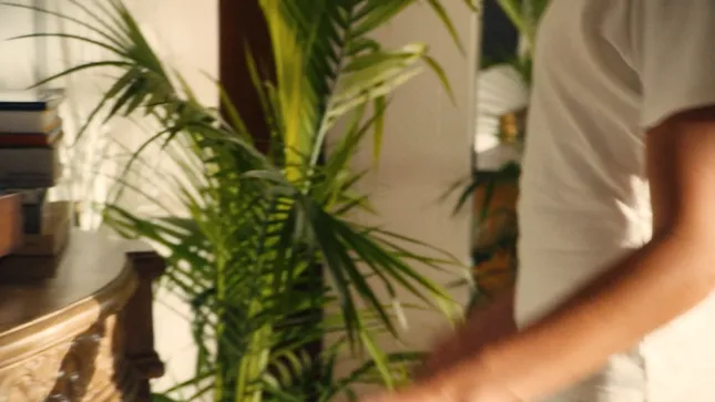 EB Denim 24 Hour Sale