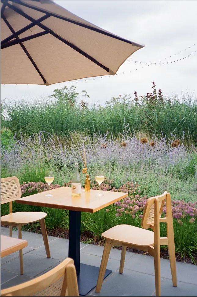 Macari Wines & Meadowlark North Fork | Media Strategy & Production