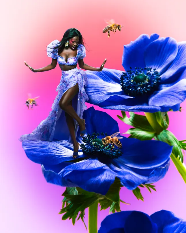 Project image