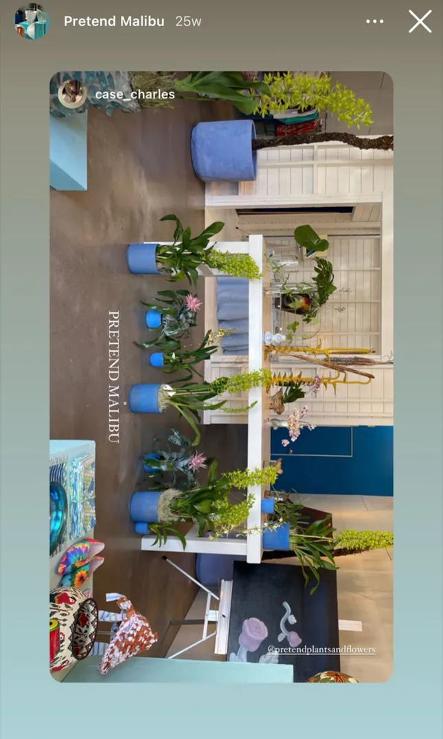 Project image