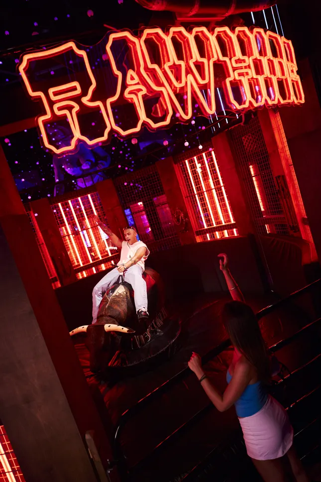 The Museum of Sex